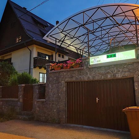 Casa Mina Hotel Buşteni Buitenkant foto