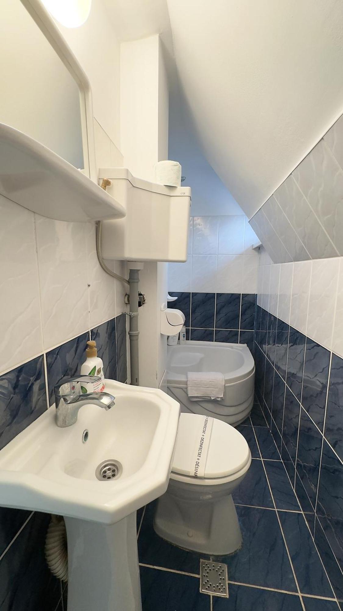 Casa Mina Hotel Buşteni Buitenkant foto