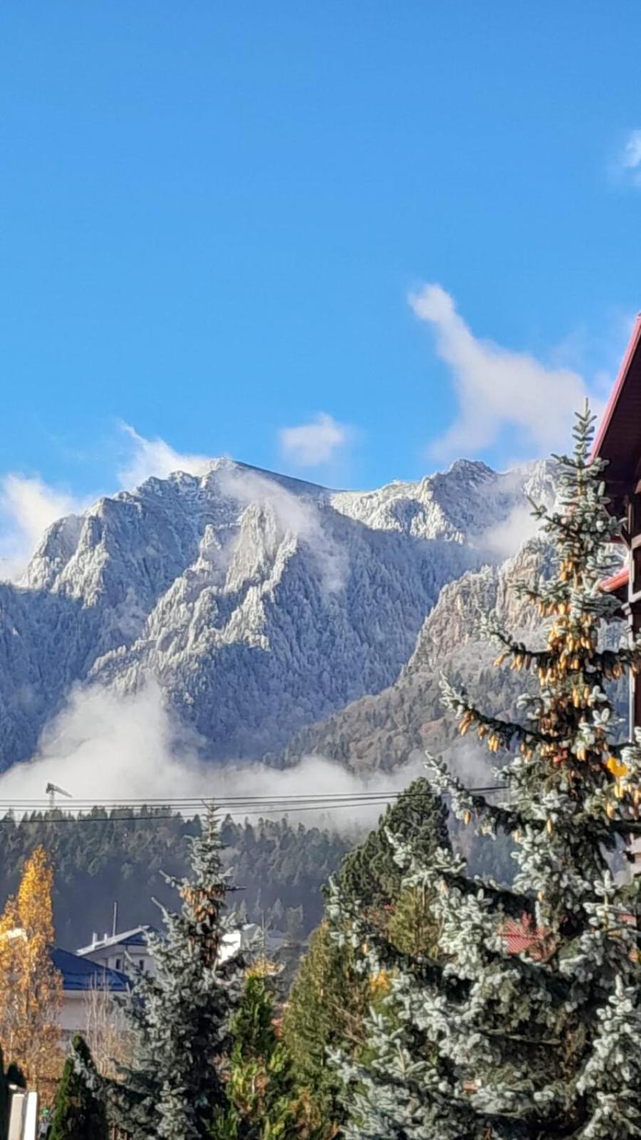 Casa Mina Hotel Buşteni Buitenkant foto